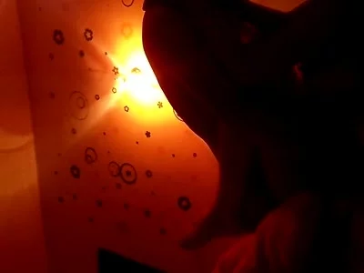 申精申精